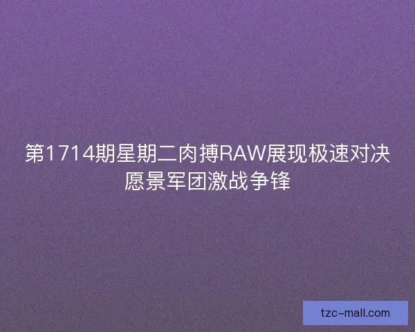 第1714期星期二肉搏RAW展现极速对决愿景军团激战争锋