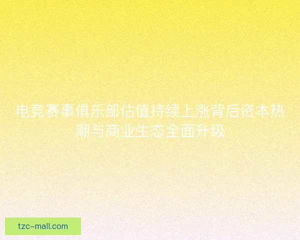 电竞赛事俱乐部估值持续上涨背后资本热潮与商业生态全面升级